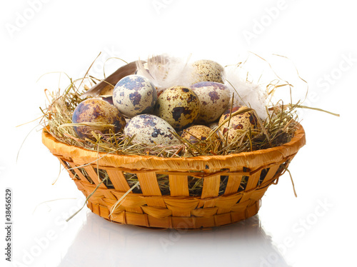 quail eggs in nest isolated on white
