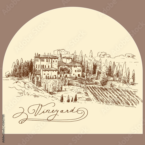 vineyards