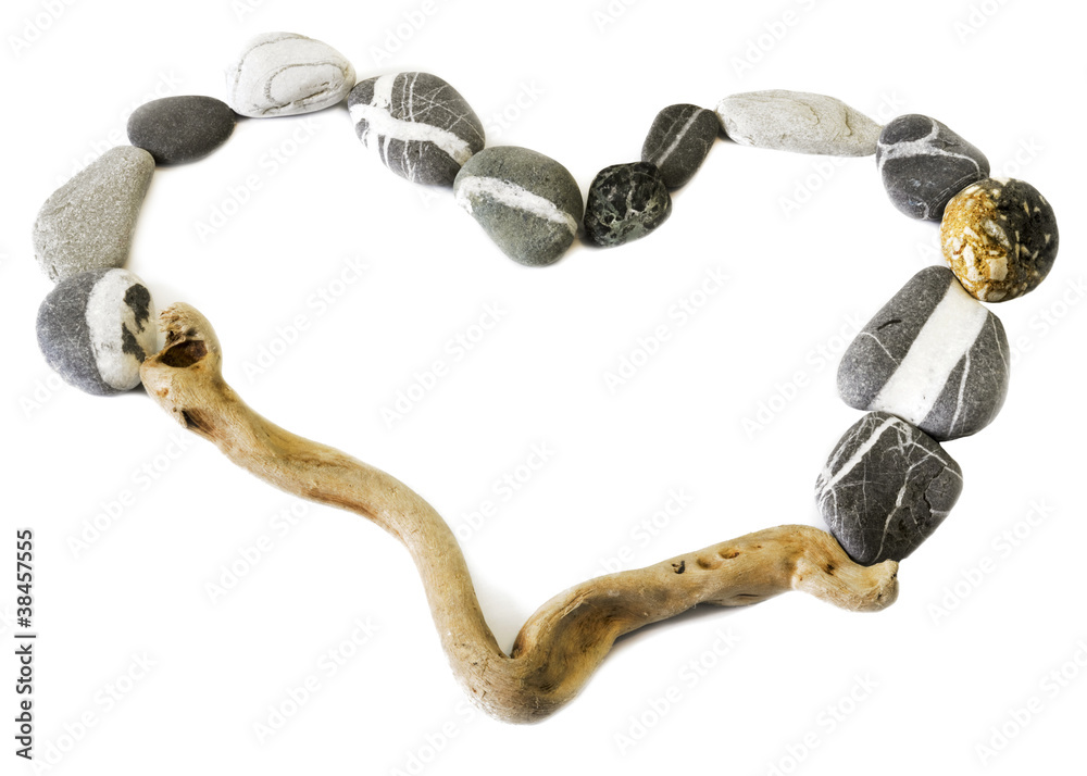 Fototapeta premium wild love