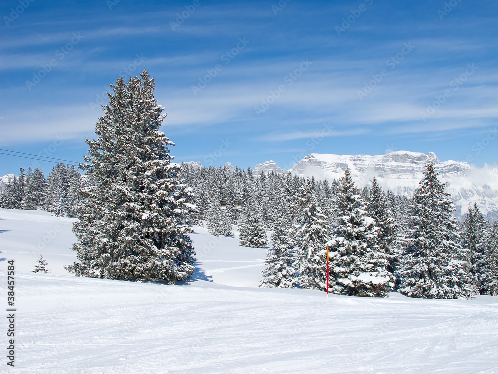 Winter in alps