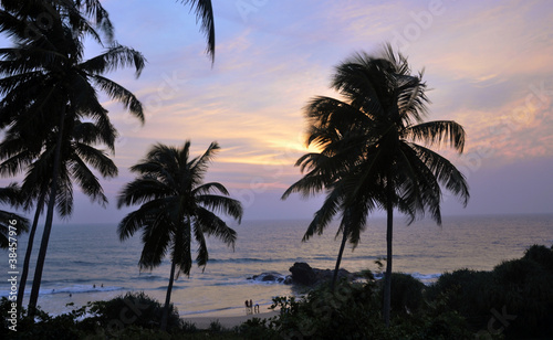 Palm trees at the beach at sunset
