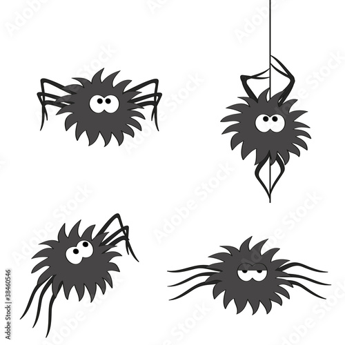 Spider