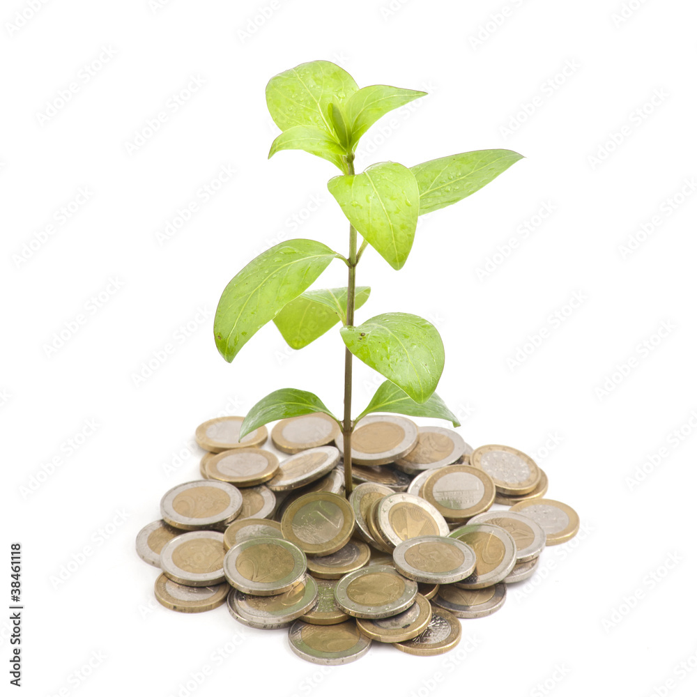 Jeune plante sortant de piece d'argent
