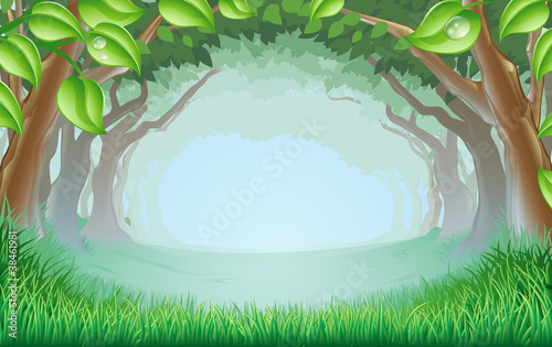 Beautiful woodland scene