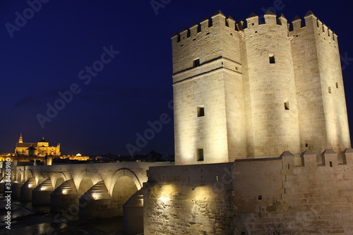 Torre de la Calahorra en Córdoba photo