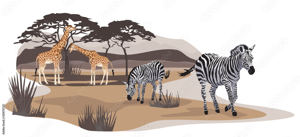 Obraz premium Savannah Animals