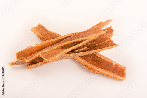 Stick of cinnamon or dalchini photo