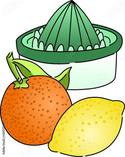 Citrus Juicer