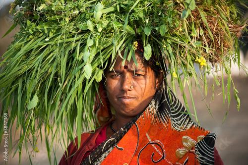 Slika na platnu Indian villager woman carrying green grass