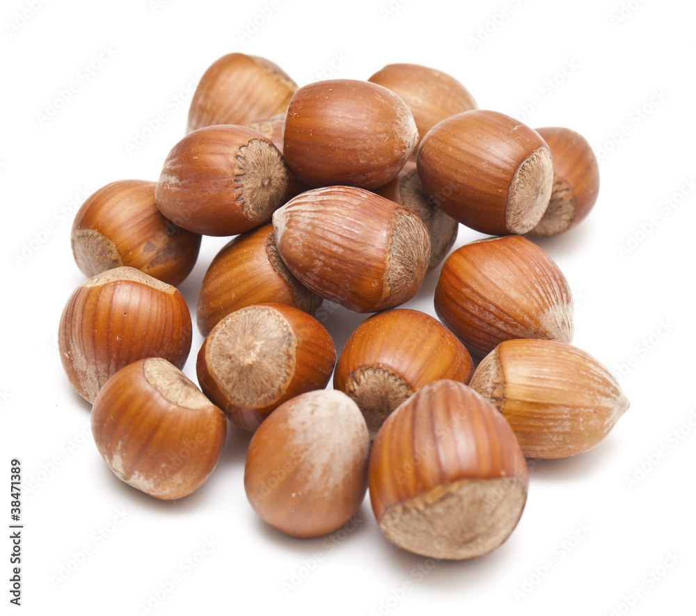 hazelnuts hazelnuts