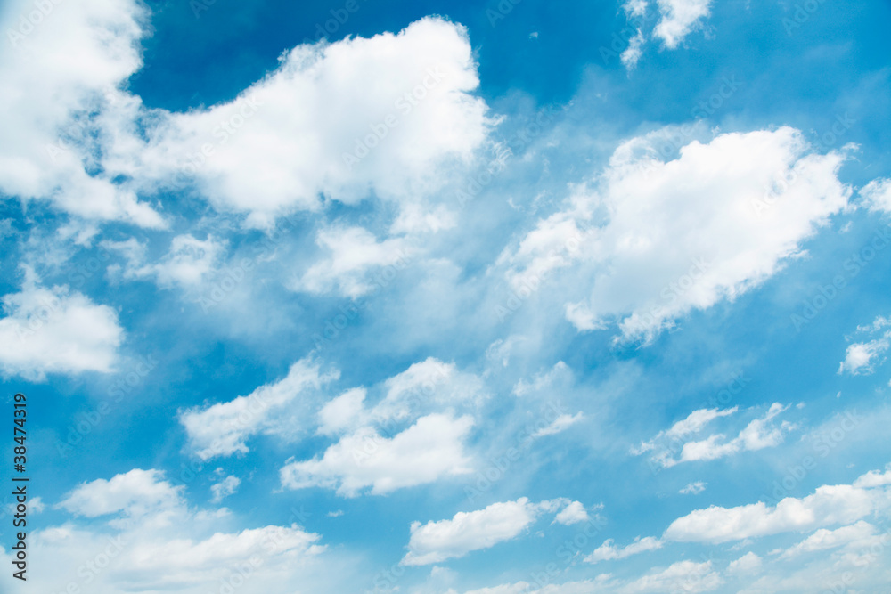 Fototapeta premium 空