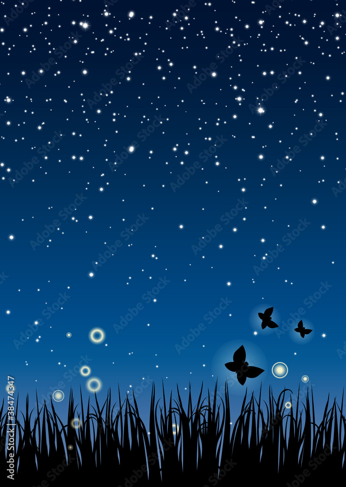 Nuit et Nature