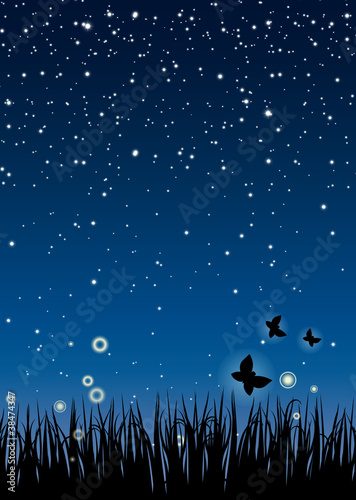 Nuit et Nature