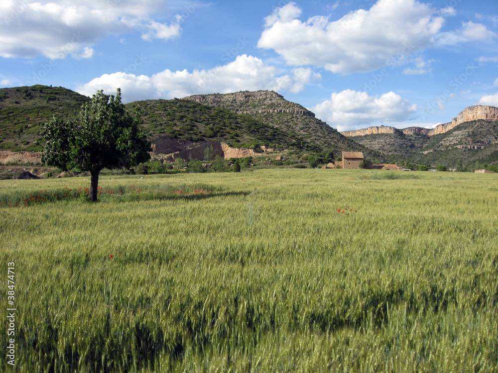 Rubielos de Mora country Gudar mountains Teruel province Aragon Rubielos de Mora country Gudar mountains Teruel province Aragon