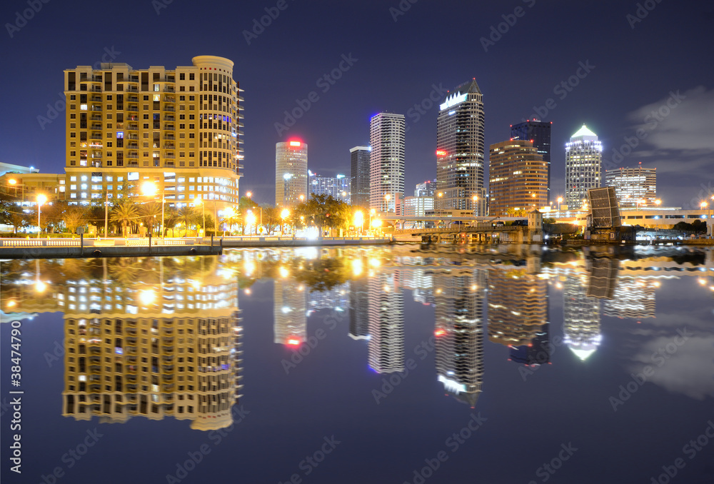 Naklejka premium Tampa Bay Skyline