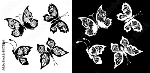 Set of silhouette butterflies on white and black