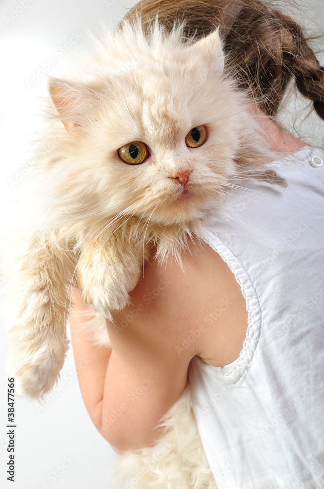 chilld with a Persian kitten chilld with a Persian kitten