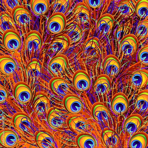 Piume Pavone Sfondo-Peacock Feathers Background-Vector