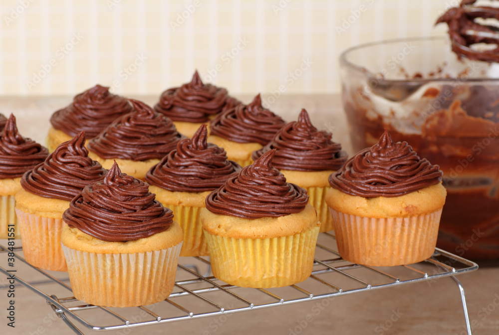 Cupcakes Cooling Cupcakes Cooling