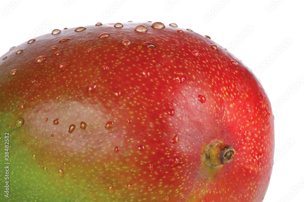 Ripe fresh mango with drops of water on a white background Ripe fresh mango with drops of water on a white background