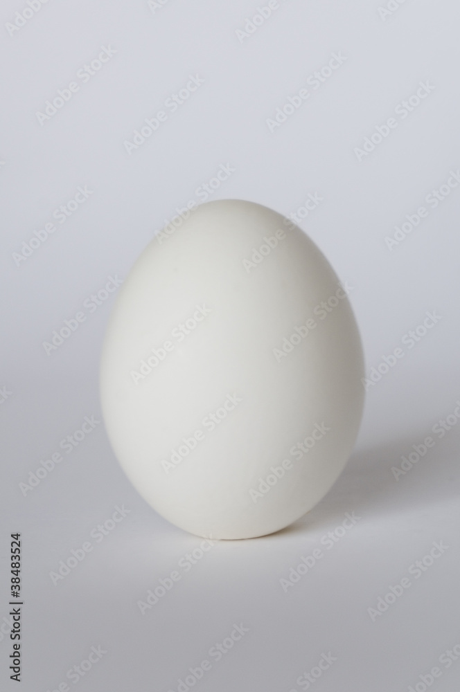 たまご たまご