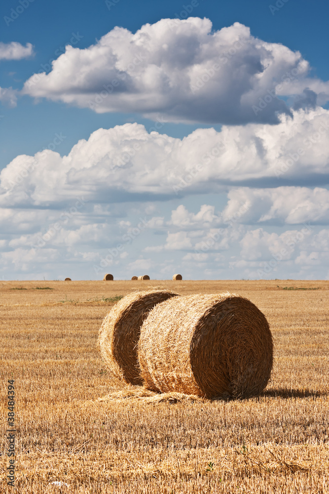 big round bales of straw in the meadow