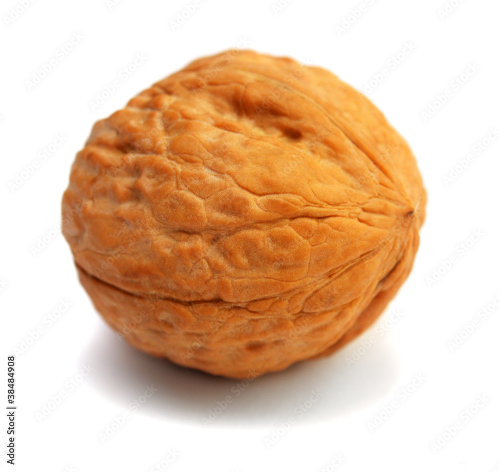 One nut One nut