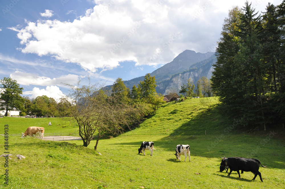Swiss scenery