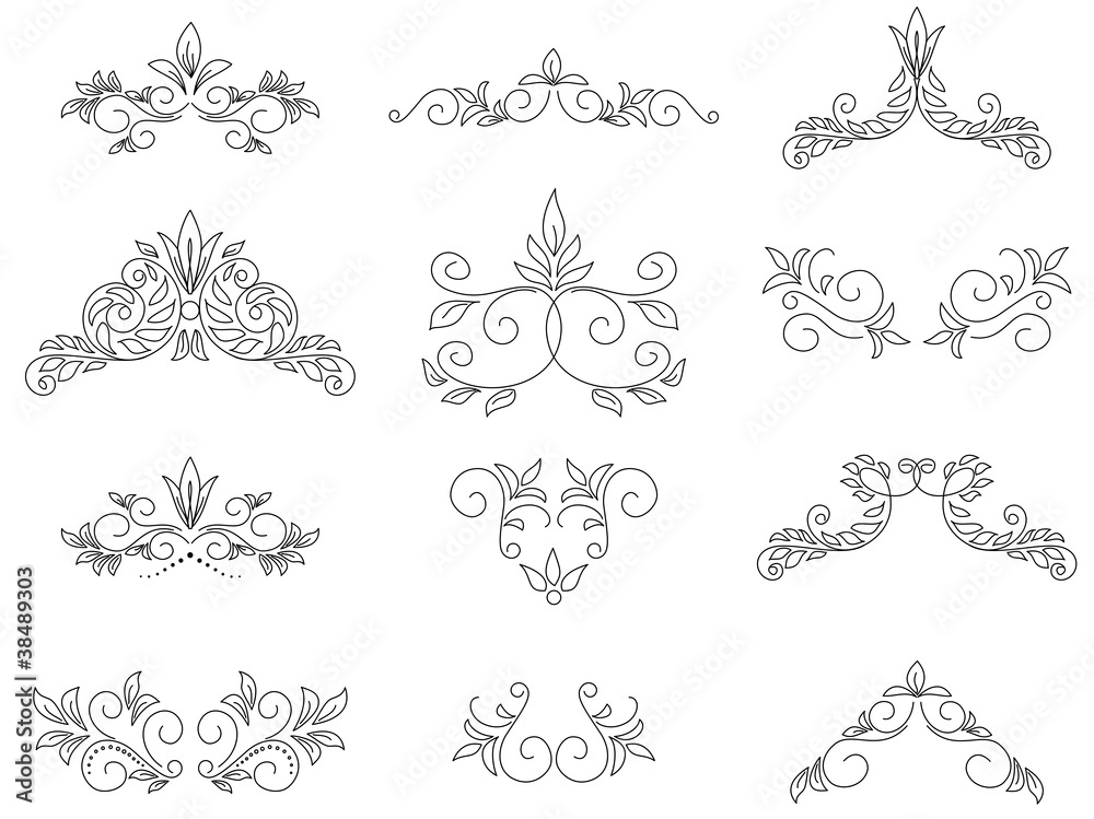 vector set - floral design elements vector set - floral design elements