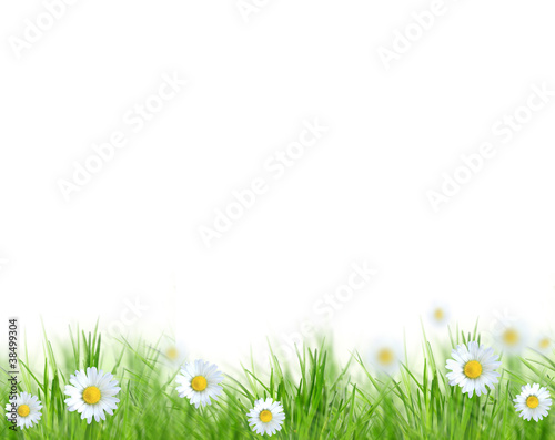 Beautiful spring background