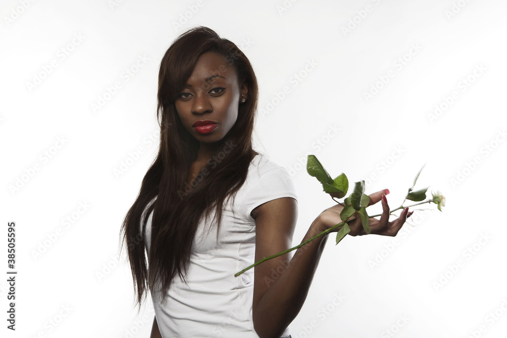 just one rose just one rose