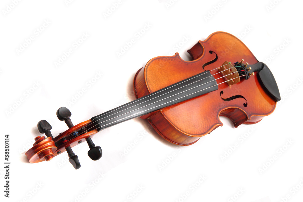 Fototapeta premium old violins isolated on the white background