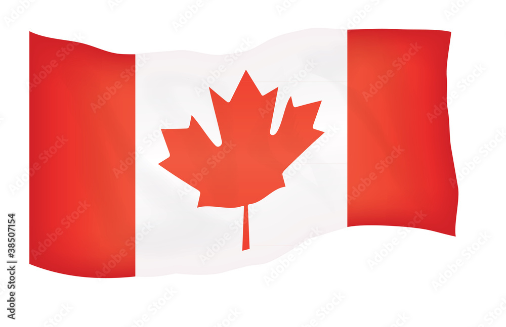 flag of Canada over white illustration flag of Canada over white illustration