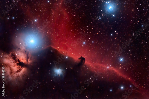 Horsehead Nebula and Flaming Tree  in the Constellation Orion photo