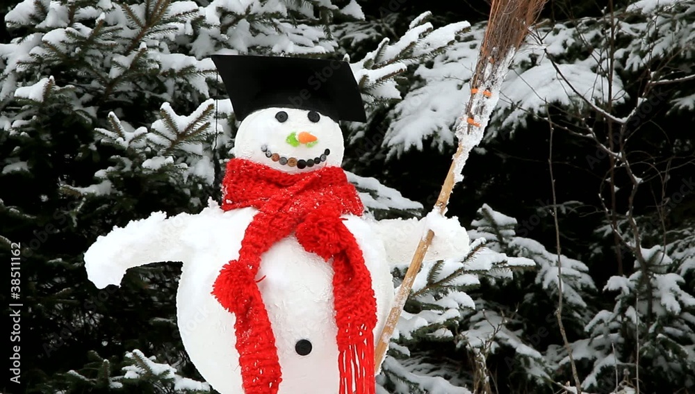 Ein Lehrer als Schneemann