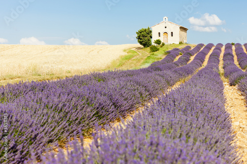 chapel with lavender and grain fields,Valensole, Provence