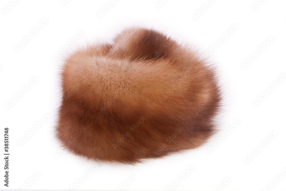 The processed skin of a marten The processed skin of a marten