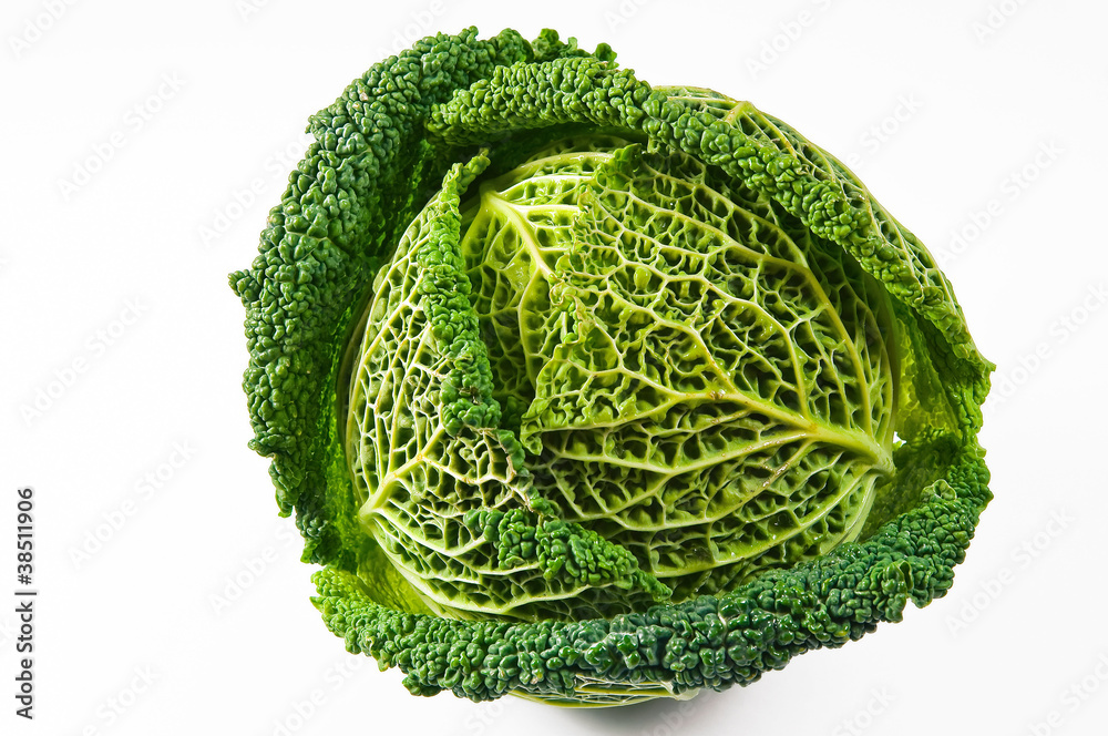 Fototapeta premium Savoy cabbage.