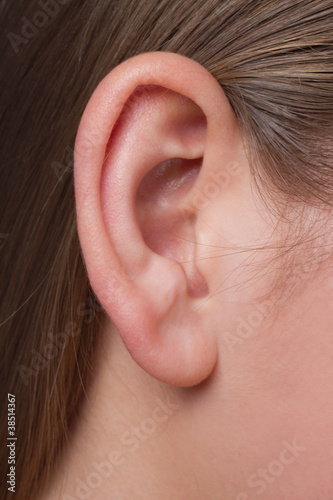 A young woman's ear close-up