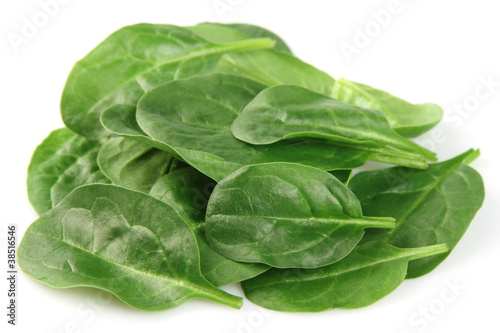 Leaves of spinach