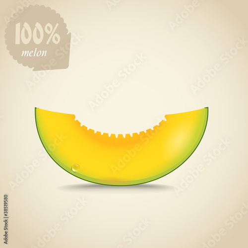 Cute fresh yellow melon illustration
