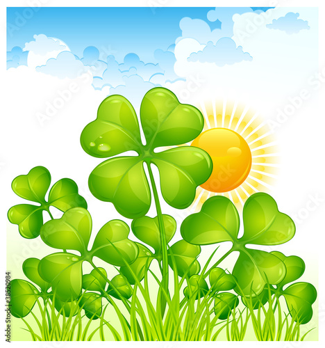 Landscape with clover