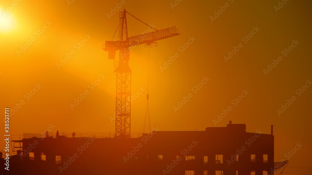cranes cranes
