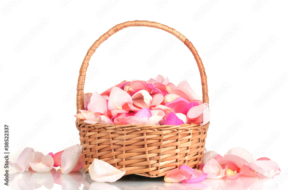 beautiful pink rose petals in basket isolated on white beautiful pink rose petals in basket isolated on white