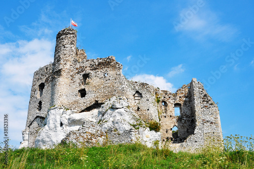 Medieval Castle