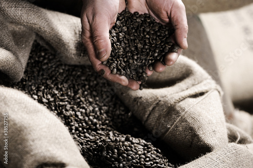 Handful of raw coffeebeans photo