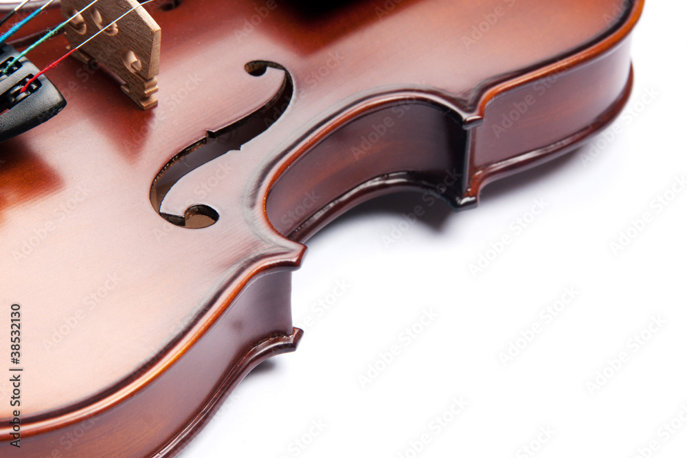 Obraz premium violin
