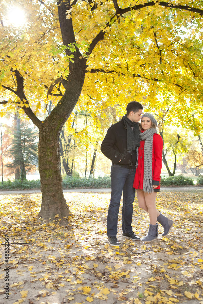Obraz premium young couple under autumn tree