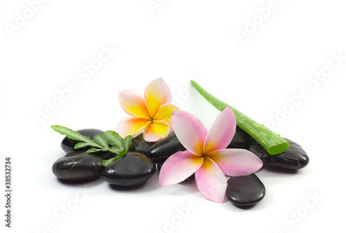 Spa stones and Frangipani flower