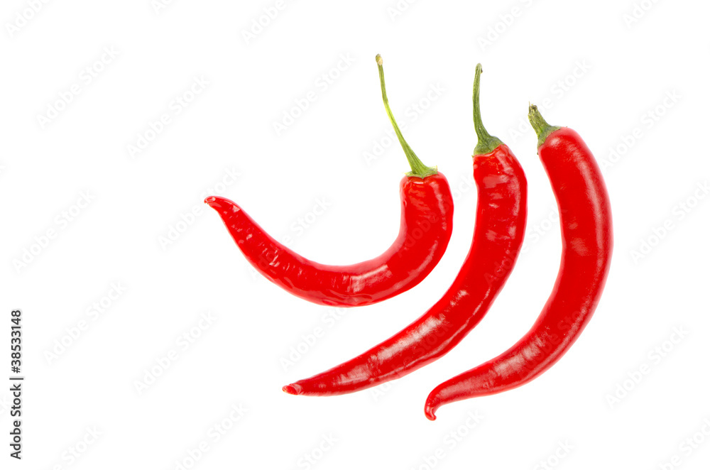 Three thin elongated hot red chili pepper isolated